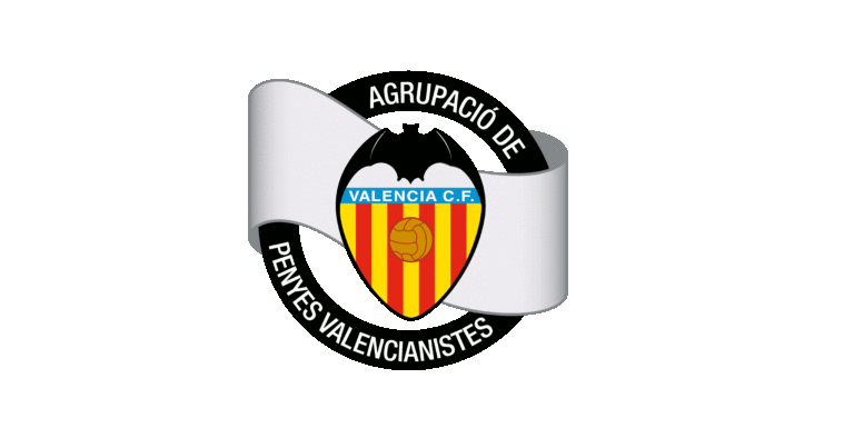 Viaje a Murcia animar al ValenciaCF Mestalla